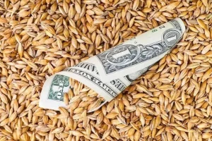 Мінімальні експортні ціни на агропродукцію скоригують у жовтні–грудні — Висоцький